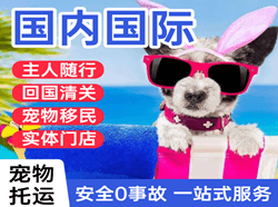 朝阳航空托运国际宠物托运 【国